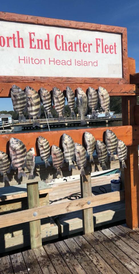 84332716_2710531879026057_1532843075976560640_n